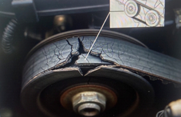 ファンベルトのイメージ